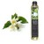 massage oil jasmine