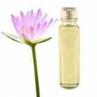 Essential Oil Lotus 20ml