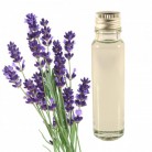 Essential Oil Lavender 20ml