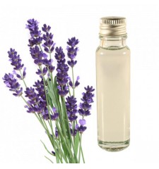 essential oil lavander