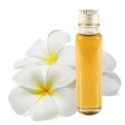 Essential Oil Frangipani 20ml