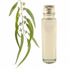 Essential Oil Eucalyptus 20ml