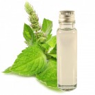 Essential Oil Peppermint 20ml