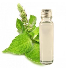 essential oil peppermint