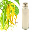 Essential Oil Ylang Ylang 20ml