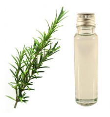 essential oil rosemary