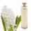 essential oil hyacinth
