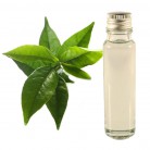 Essential Oil Green Tea 20ml