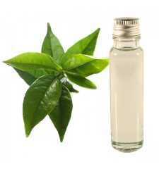 essential oil green tea